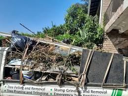 Shed Removal in Stacy, MN