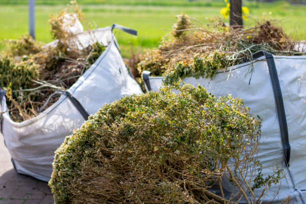Best Moving and Downsizing Cleanouts  in Stacy, MN